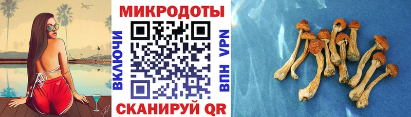 Псилоцибиновые грибы прущие грибы  МЕГА tor  Игра  что такое  